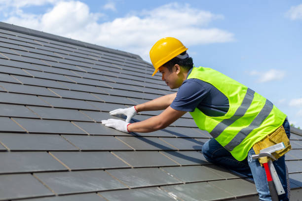 Best Local Roofing Companies  in Roebling, NJ