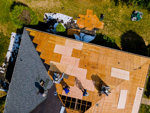 Best Metal Roofing Contractor  in Roebling, NJ