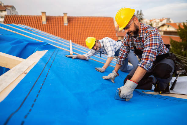 Best Roof Replacement Cost  in Roebling, NJ