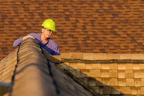 Best Gutter Installation and Roofing  in Roebling, NJ