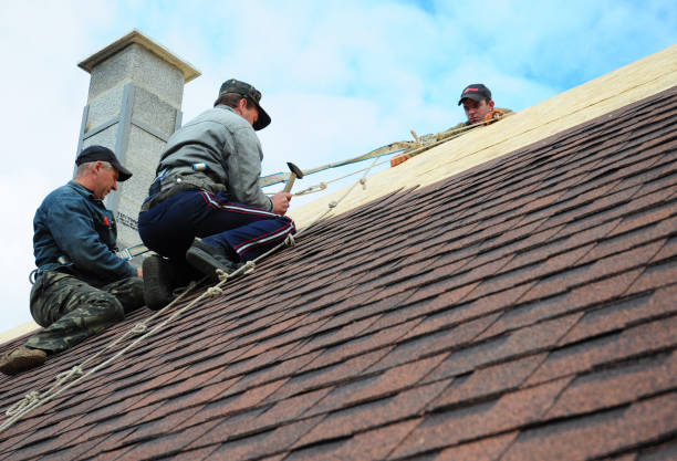 Best Roof Gutter Cleaning  in Roebling, NJ